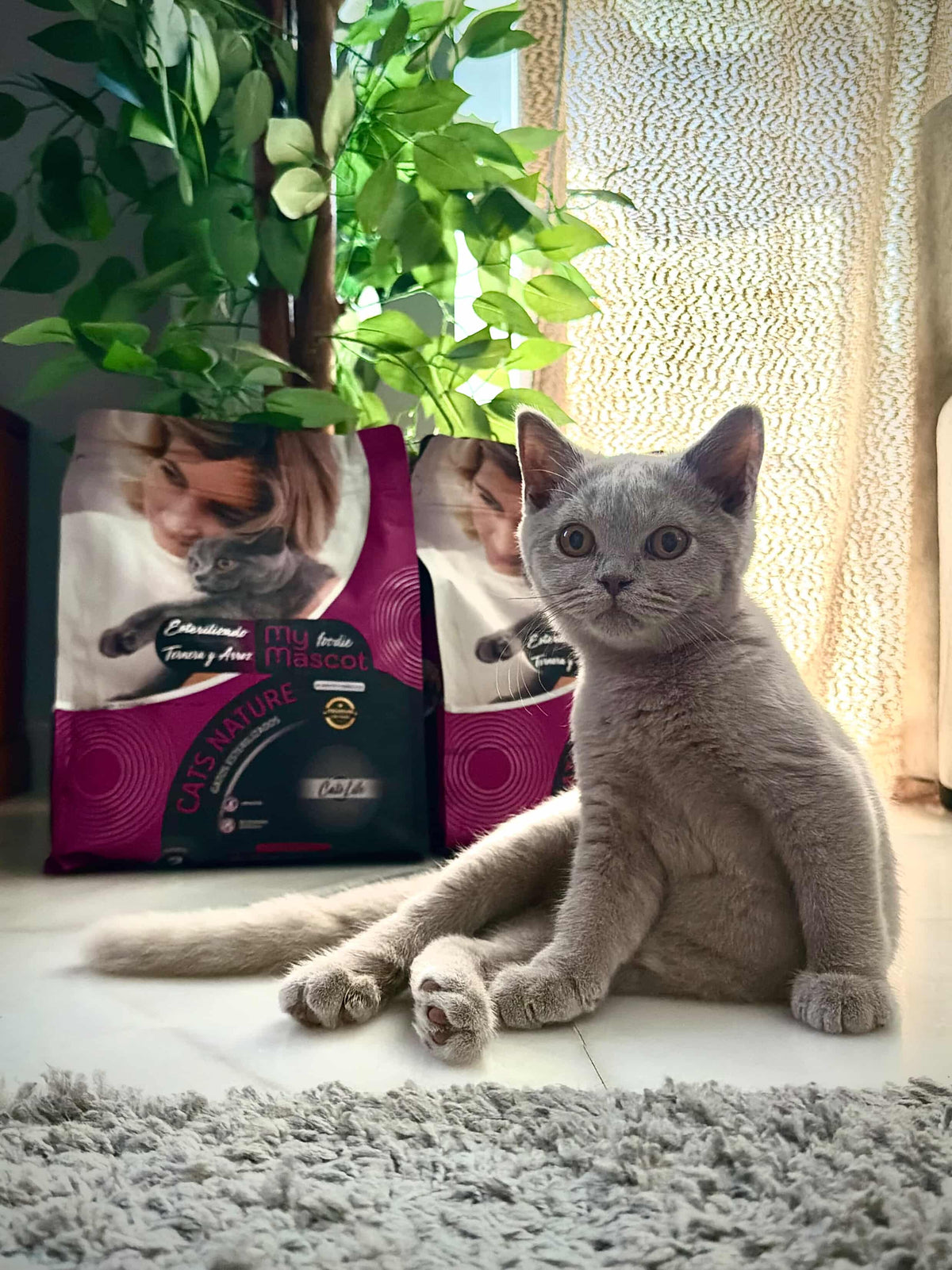 Gato esterilizado Ternera & Arroz