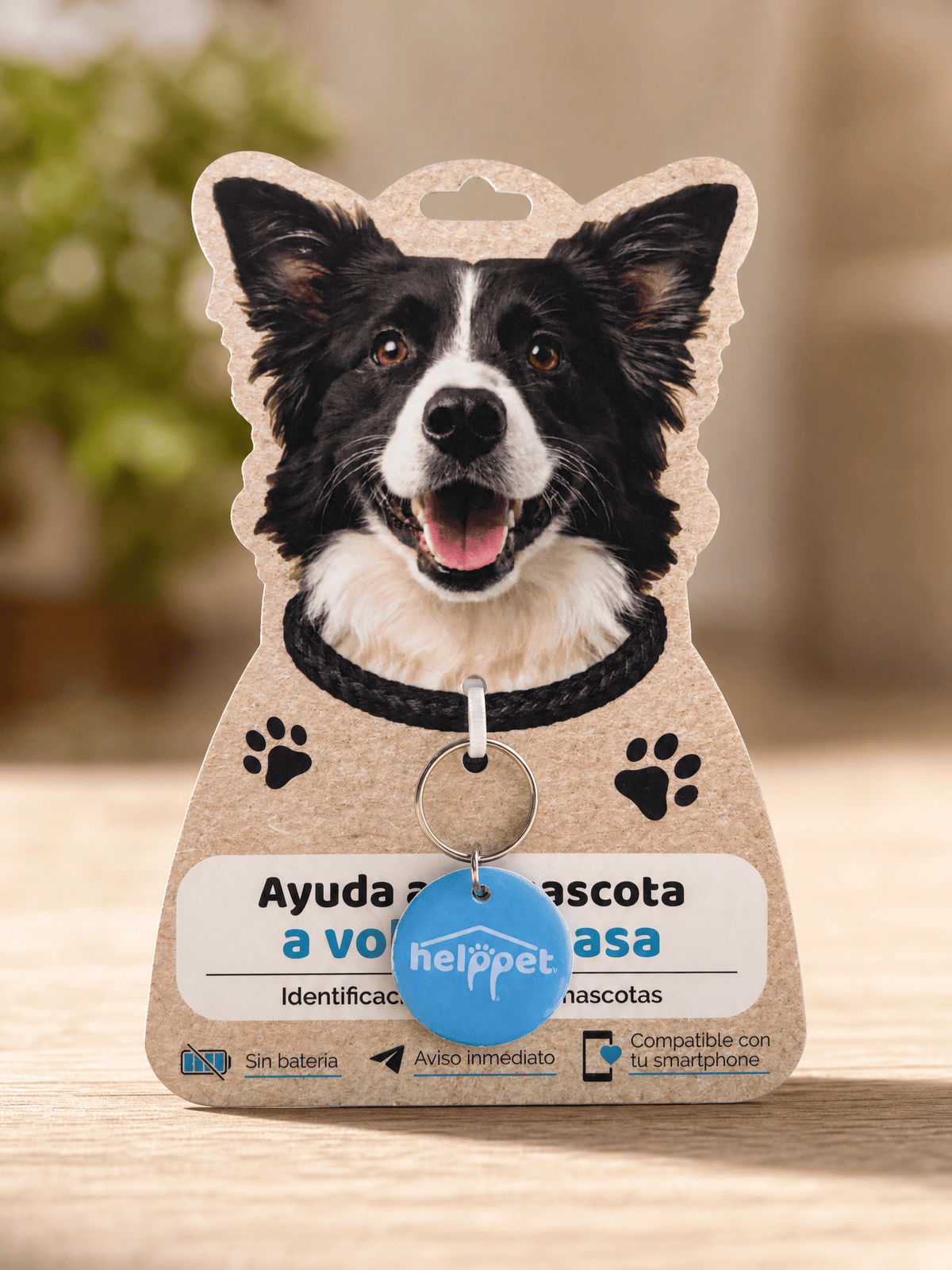 Chapa HELPPET azul con NFC en su envase de cartón con forma de perro